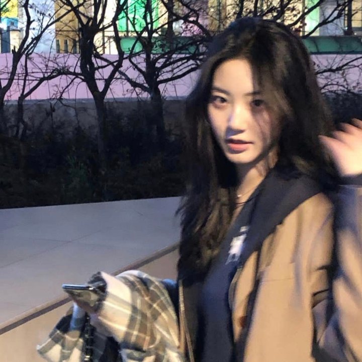 爱丽丝海上漫游