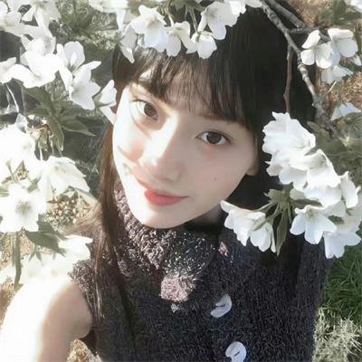 摇曳露营第二季
